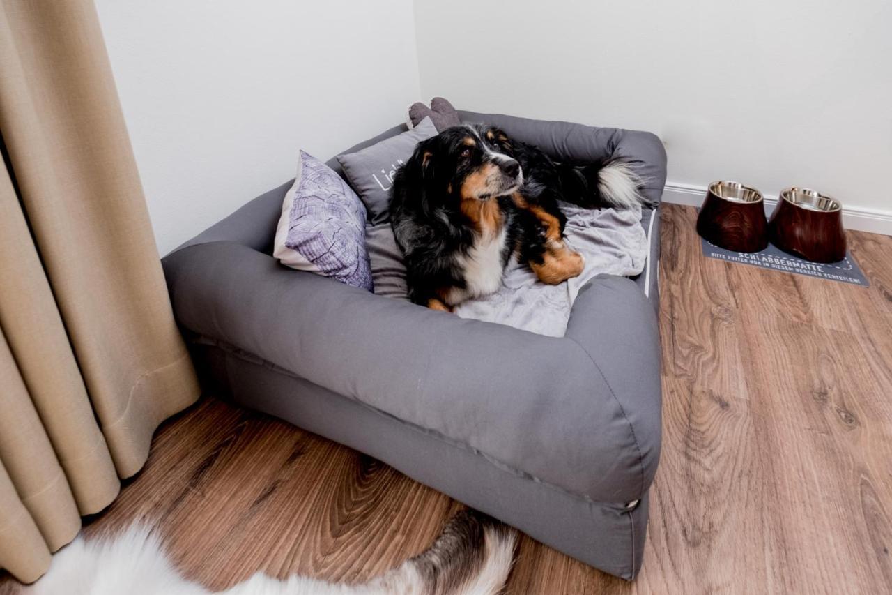 Landhaus Schulze - Ihr Hundefreundliches Hotel Im Harz Герцберґ-ам-Гарц Екстер'єр фото